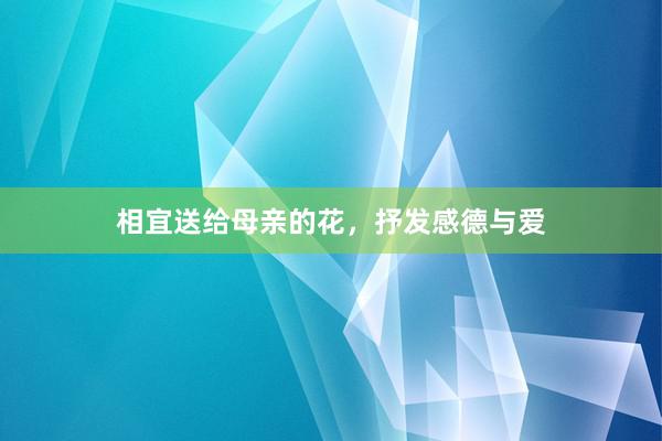 相宜送给母亲的花，抒发感德与爱